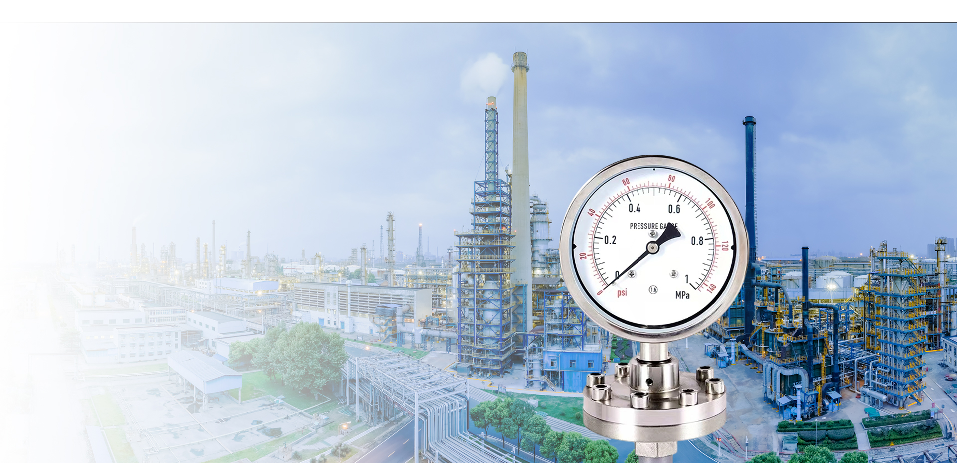 Đảm bảo chất lượng cao với chuyên môn của chúng tôi